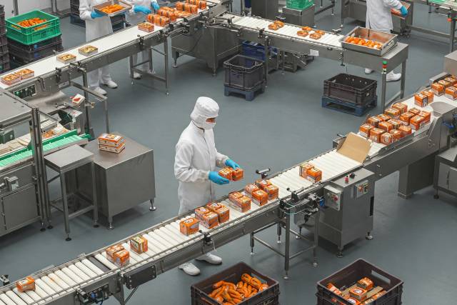 Food Processing