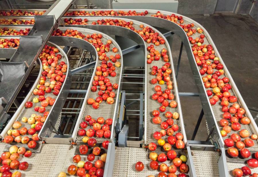 Food grade conveyor roller inside meat packaging unit